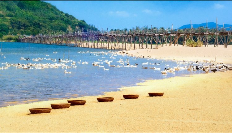 Cầu Ông Cọp – cây cầu gỗ dài nhất Việt Nam 1