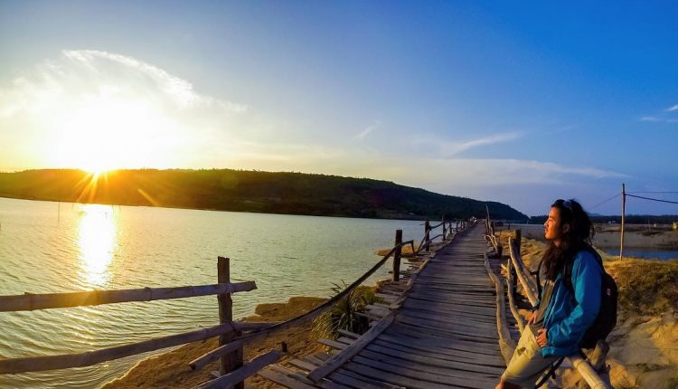 Cầu Ông Cọp – cây cầu gỗ dài nhất Việt Nam 6