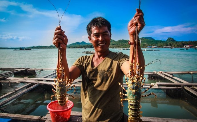 tom-hum-duoc-nuoi-o-dao-binh-ba-0627