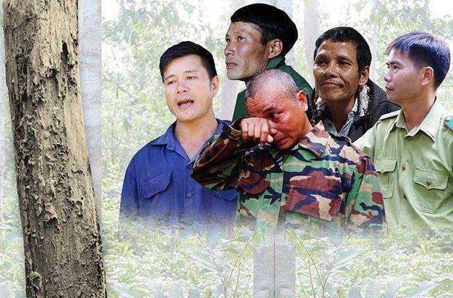 Kỳ vọng tòa phúc thẩm dũng cảm xử đúng