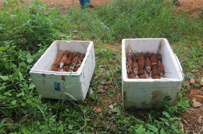 Tháo gỡ hầm đạn dưới chân đèo Bảo Lộc