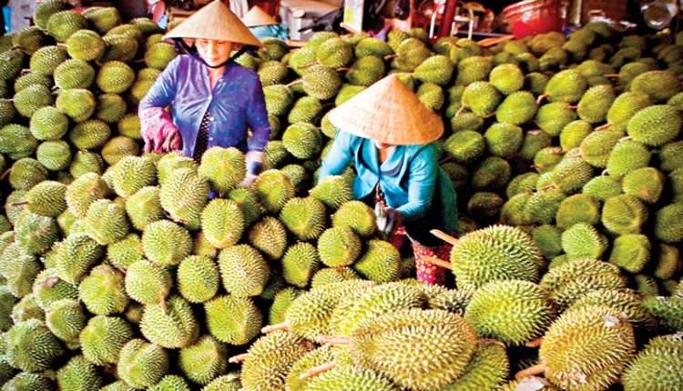 OCOP-Ben-Tre