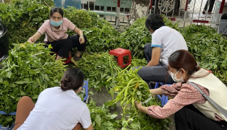phuong-6-go-vap-mua-covid-mua-cua-yeu-thuong-tin-viet-today-vn-3