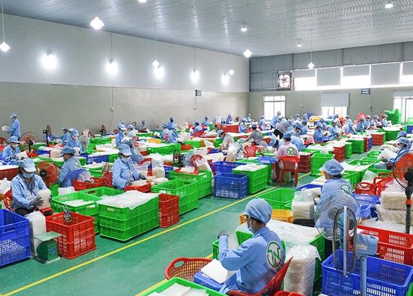 tay-ninh-tinh-tuy-banh-trang-sieu-mong-xu-hoa-thanh-1