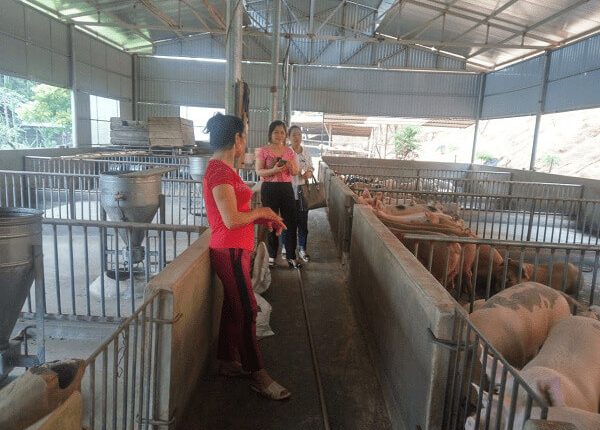 lao-cai-phat-huy-vai-tro-dang-vien-trong-xay-dung-nong-thon-moi-(2)